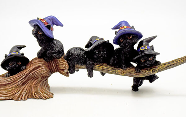 Magical Cats On Broom