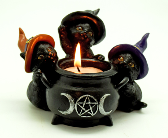 Witchy Cats Around Cauldron