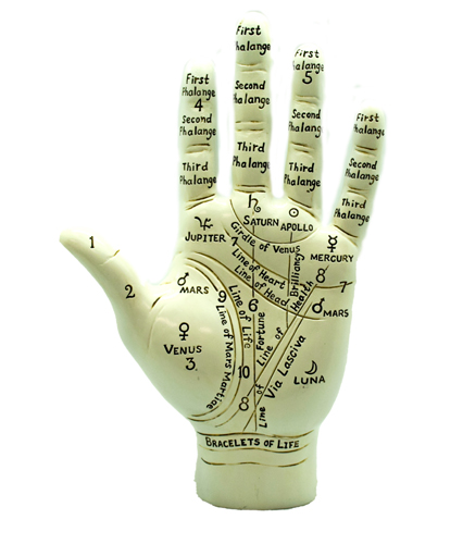 Big Palmistry  Hand